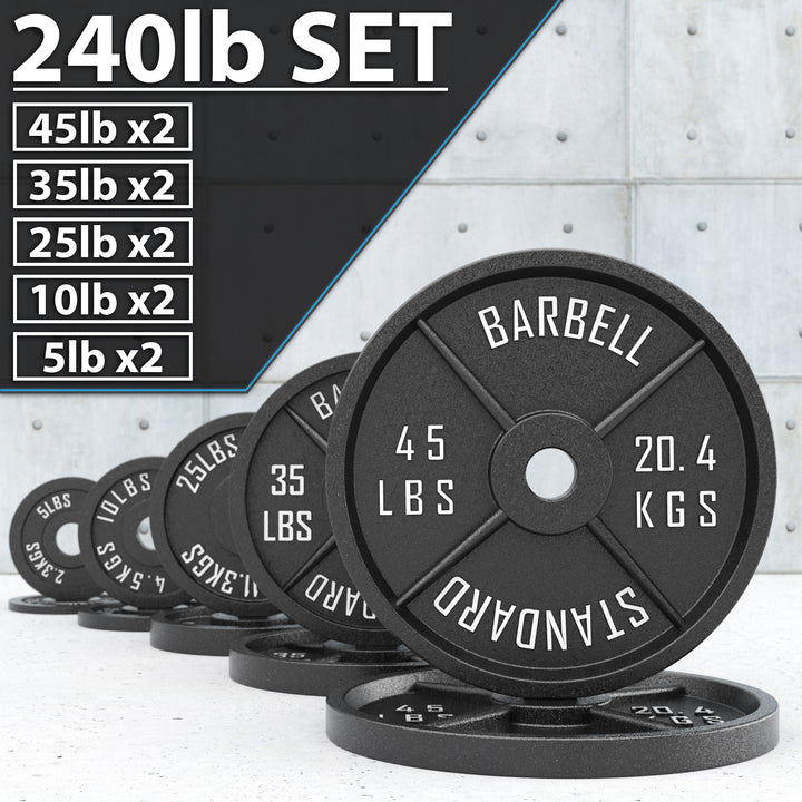 Synergee Standard Metal Weight Plates