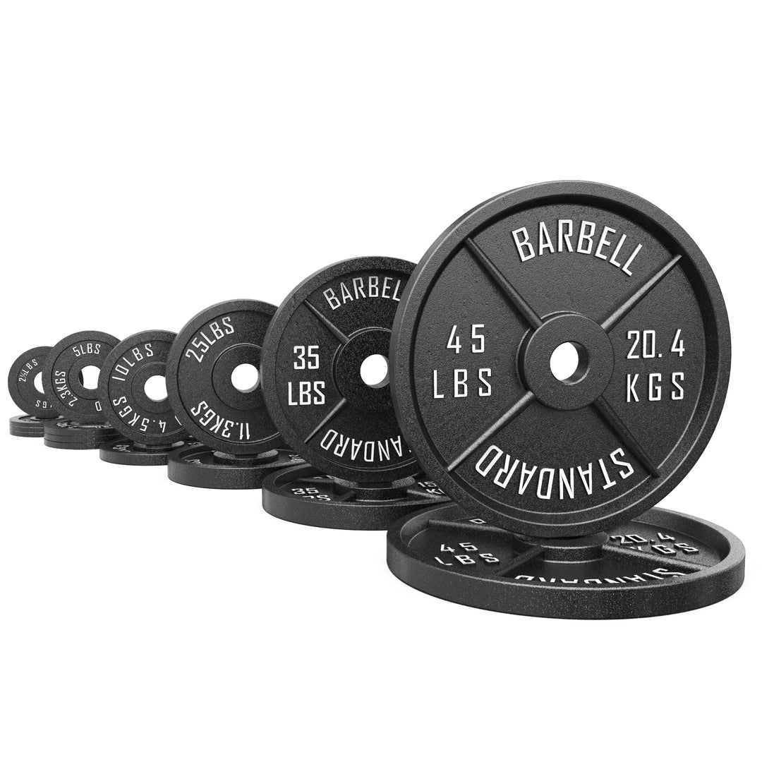 Synergee Standard Metal Weight Plates