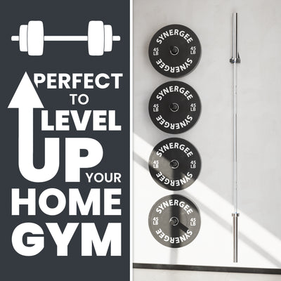 Synergee Olympic Barbell Hanger