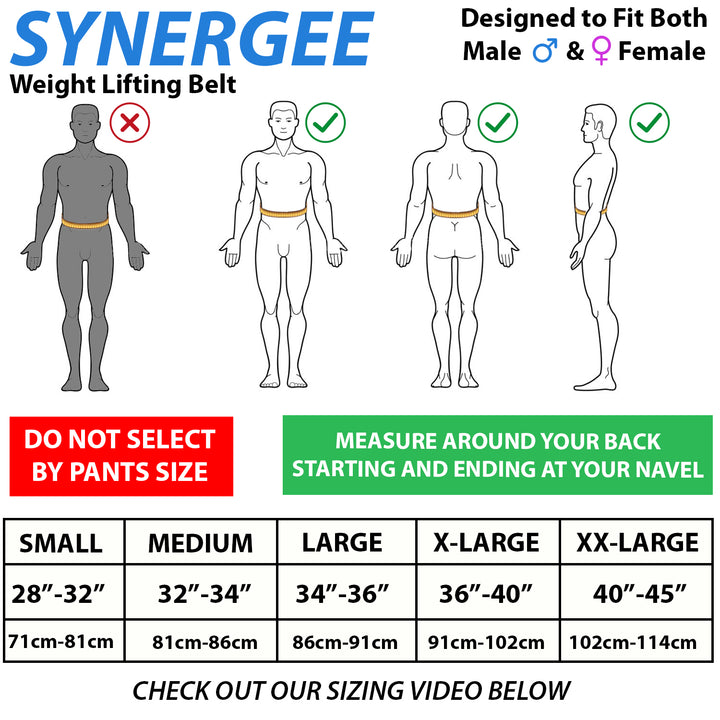 Synergee Weightlifting Belt