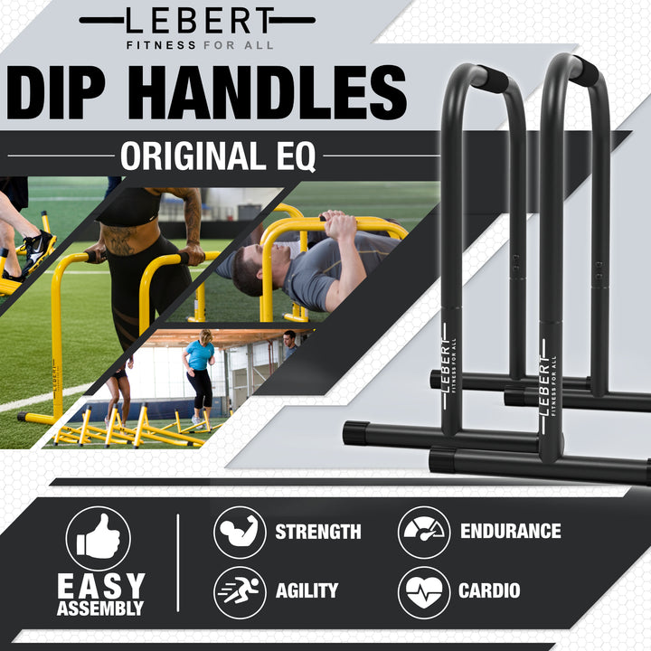 Lebert Fitness Equalizer