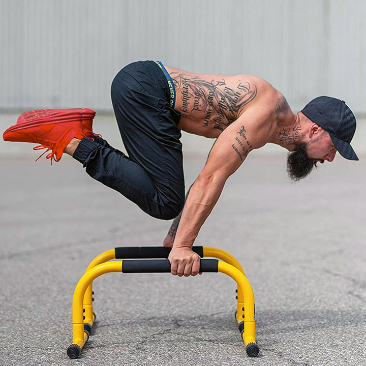 Lebert Fitness Parallette Bars