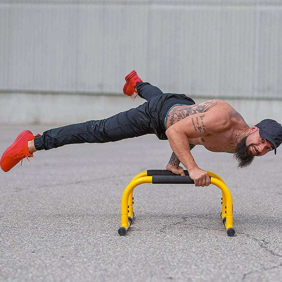 Lebert Fitness Parallette Bars