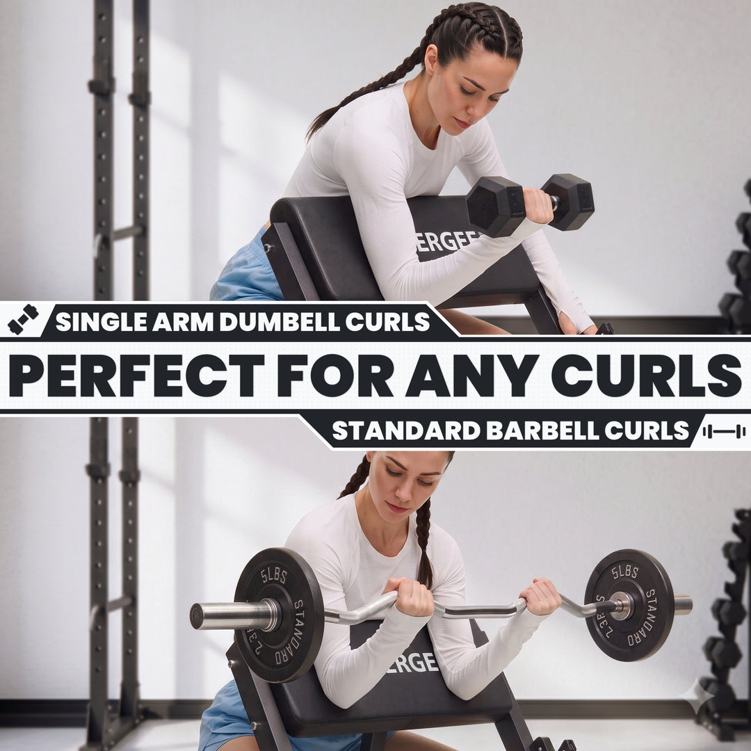 Synergee Preacher Curl Bench