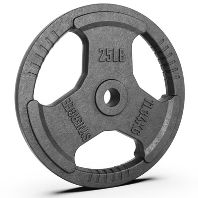 Synergee 1 Inch Cast Iron Weight Plates